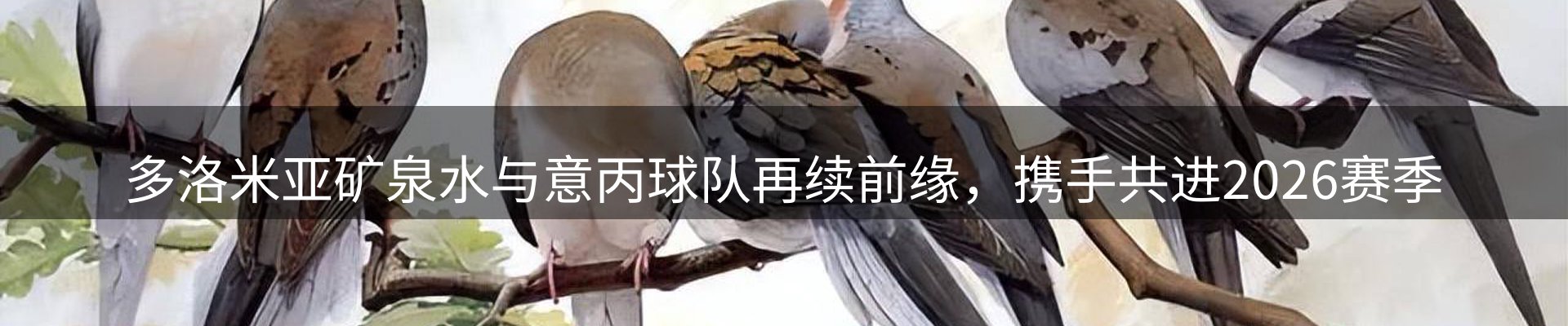 新闻展望